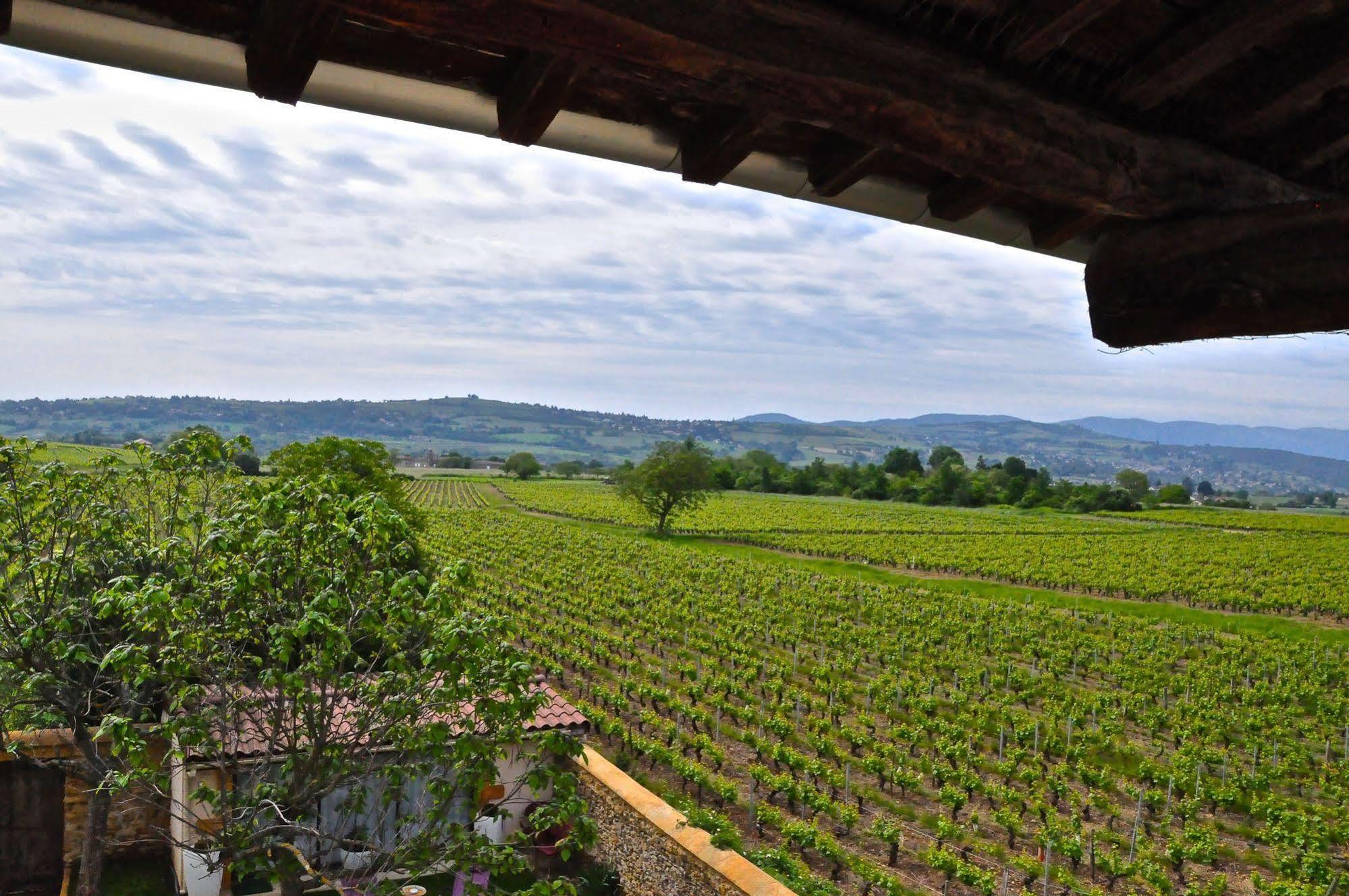 Le Clos Du Cher En Beaujolais Saint-Germain-Nuelles エクステリア 写真