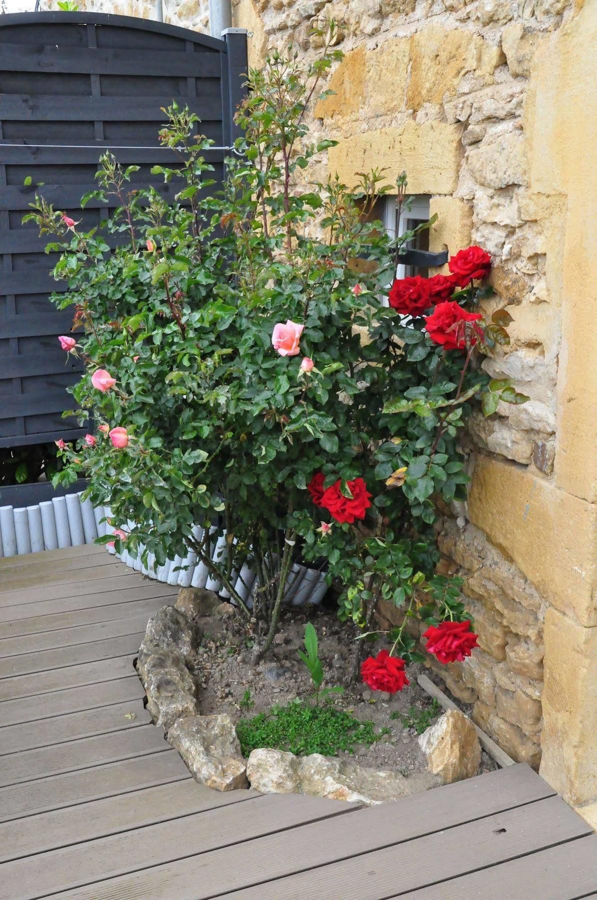 Le Clos Du Cher En Beaujolais Saint-Germain-Nuelles エクステリア 写真