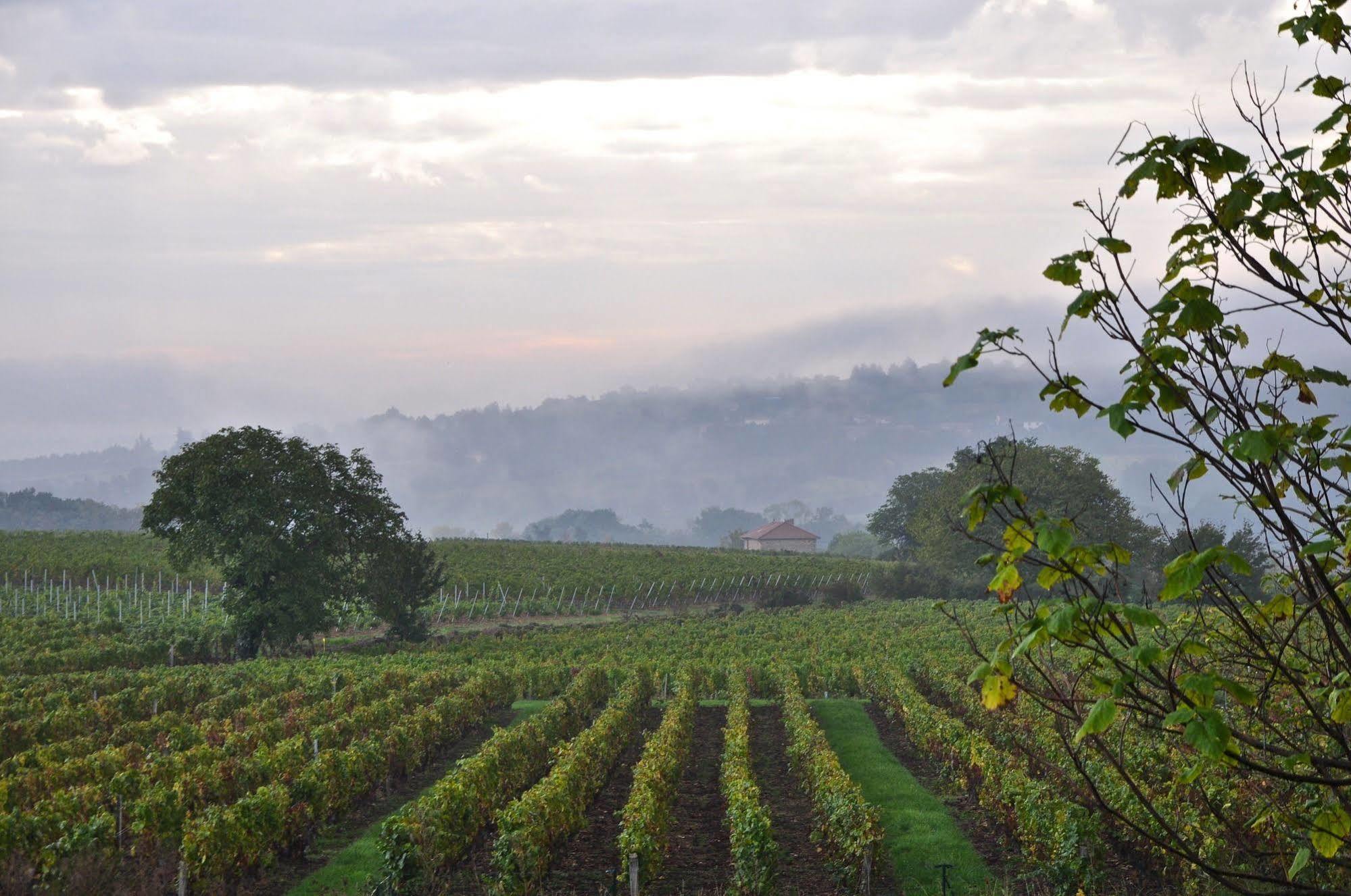 Le Clos Du Cher En Beaujolais Saint-Germain-Nuelles エクステリア 写真