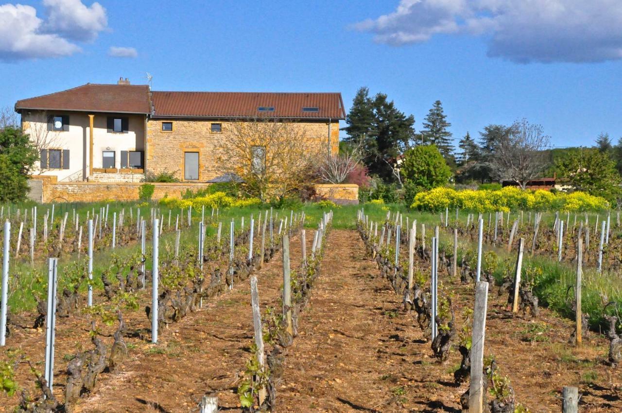 Le Clos Du Cher En Beaujolais Saint-Germain-Nuelles エクステリア 写真